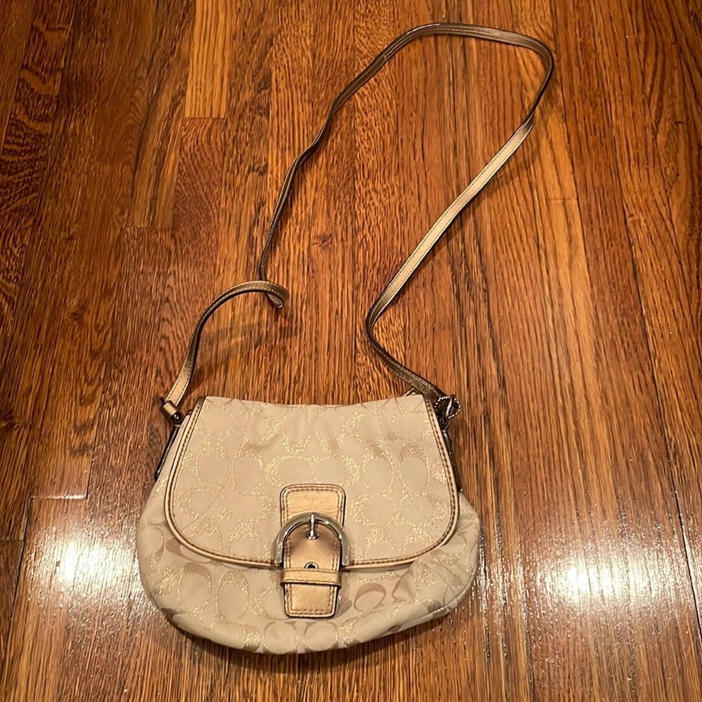 Coach hobo small crossbody